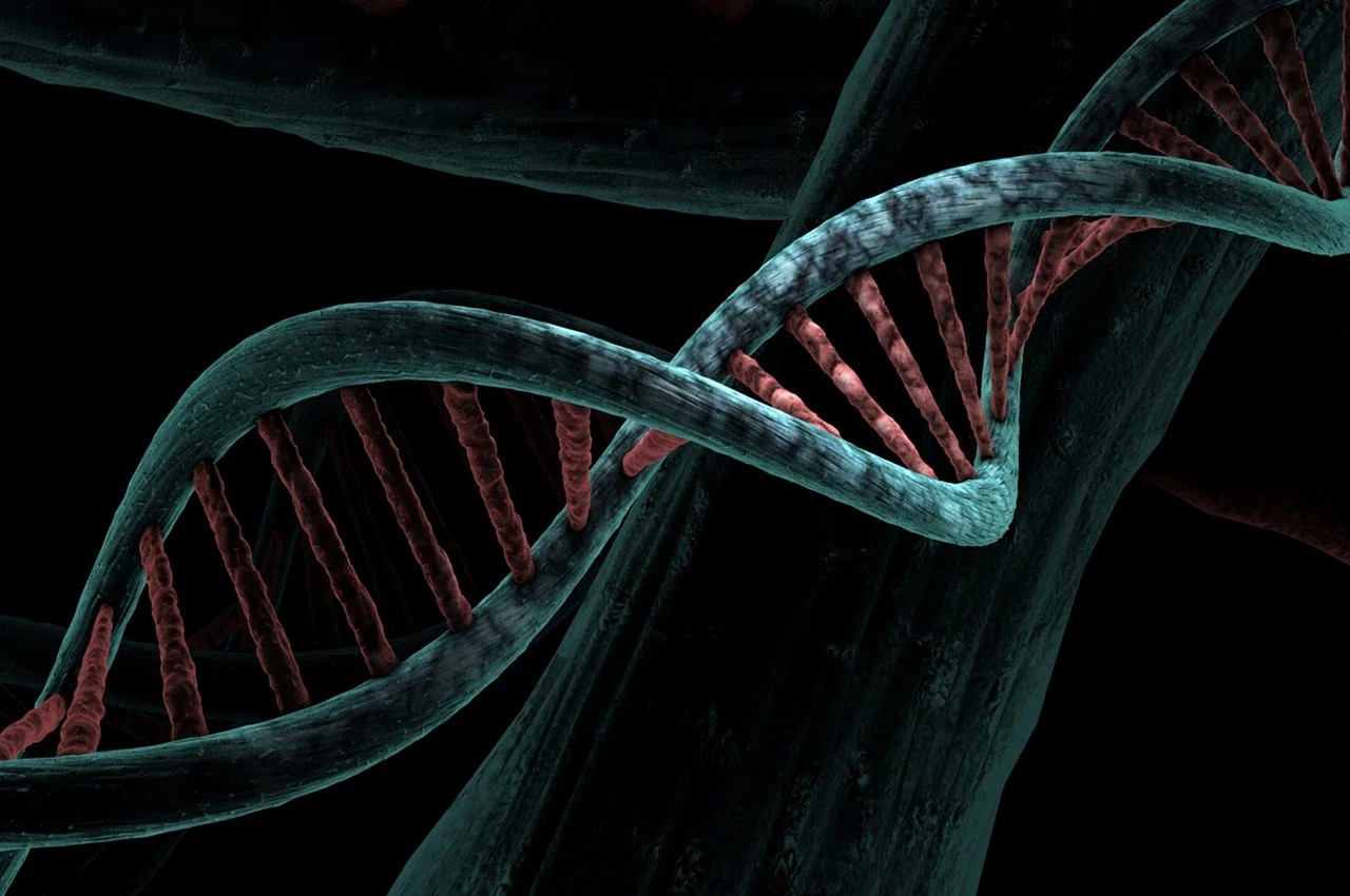 Apa Itu DNA dan Mengapa Penting?